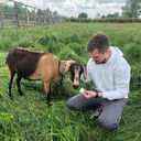 ���������� ����, ���� ������� ���������, 31 ���, ������������ ��� ������, ����� � ���������