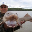 ���������� ��������, ���� ������� Dimdza, 49 ���, ������������ ��� ������