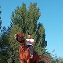 ���������� ������ ��������, ���� ������� ����, 29 ���, ������������ ��� ������, ����� � ���������