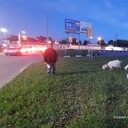 ���������� ����, ���� ������� ����, 30 ���, ������������ ��� ����� � ���������, c�������� ���������