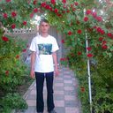   ,   , 36 ,  