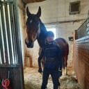 ���������� ����, ���� ������� ������, 26 ���, ������������ 