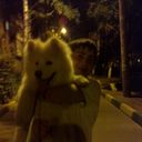 ���������� ������ ��������, ���� ������� ������, 31 ���, ������������ ��� ����� � ���������, c�������� ���������