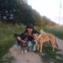  ,   , 62 ,  