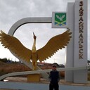  ,   , 45 ,   ,   