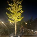  ,   , 67 ,   ,   , c 