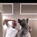 ���������� ������, ���� ������� �����, 35 ���, ������������ ��� ����� � ���������, c�������� ���������