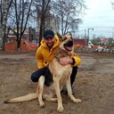 ���������� ������, ���� ������� ���������, 43 ����, ������������ ��� ������, ����� � ���������, c�������� ���������