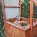 ���������� ������������, ���� ������� �����, 32 ����, ������������ ��� ������, ����� � ���������