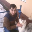 ���������� ���������, ���� ������� �����, 38 ���, ������������ 