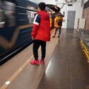 ���������� �����-���������, ���� ����� ����, 24 ����, ������������ ��� ������, ����� � ���������, c�������� ���������, ���������