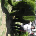  ,   , 62 ,   ,   , c 