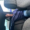  ,   KotZam, 31 ,   ,   , c 