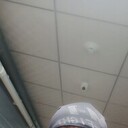 ���������� ���������, ���� ������� �������, 41 ���, ������������ ��� ������, ����� � ���������, c�������� ���������, ���������