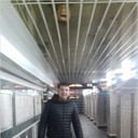 ���������� ������, ���� ������� �����, 38 ���, ������������ 