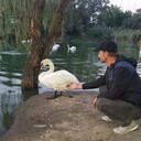 ���������� ������, ���� ������� �������, 38 ���, ������������ ��� ������, ����� � ���������, ���������