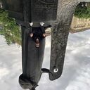 ���������� �������, ���� ������� ���, 33 ����, ������������ ��� ������, ����� � ���������