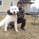 ���������� �����, ���� ������� �������, 53 ����, ������������ ��� ������, ����� � ���������, ���������