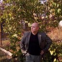 ���������� ������, ���� ������� ���������, 63 ����, ������������ ��� ������, ����� � ���������, c�������� ���������