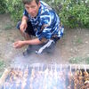  ,   , 48 ,   ,   , c 