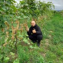 ���������� �����������, ���� ������� ������, 41 ���, ������������ ��� ������, ����� � ���������