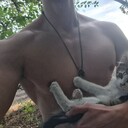 ���������� ������, ���� ������� ����������, 27 ���, ������������ ��� ������, ����� � ���������, c�������� ���������