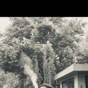 ���������� �������, ���� ����� SHOXRUH, 25 ���, ������������ ��� ������, ����� � ���������, c�������� ���������, ���������