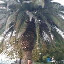  ,   Vill Artlet, 51 ,   ,   , c 