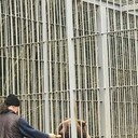 ���������� �����-���������, ���� ������� ����, 63 ����, ������������ ��� ������, ����� � ���������