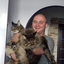 ���������� �������, ���� ������� �����, 36 ���, ������������ ��� ������, ����� � ���������, c�������� ���������