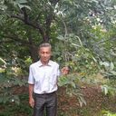 ���������� ������, ���� ������� �����, 49 ���, ������������ ��� ������, ����� � ���������