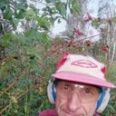   ,   , 68 ,   c 