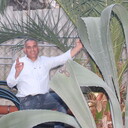  ,   , 55 ,   ,   