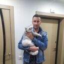 ���������� �����, ���� ������� ����, 43 ����, ������������ 