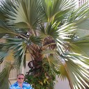  ,   , 54 ,     , c 