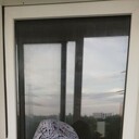 ���������� ������, ���� ������� �������, 38 ���, ������������ ��� ����� � ���������, c�������� ���������