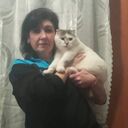  ,   , 53 ,     , c , 