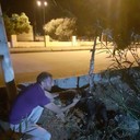 ���������� ����, ���� ������� ELIMIK, 45 ���, ������������ ��� ������, ����� � ���������, c�������� ���������