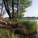 ���������� ����, ���� ������� �����, 43 ����, ������������ ��� c�������� ���������