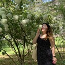 ���������� �����-���������, ���� ������� �����, 39 ���, ������������ ��� ������, ����� � ���������, c�������� ���������, ���������