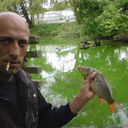 ���������� �����������, ���� ������� ����, 44 ����, ������������ ��� ������