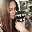  ,   , 28 ,   ,   