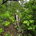  ,   Roman, 42 ,   ,   , c , 