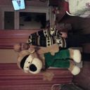 ���������� ������, ���� ������� ���, 56 ���, ������������ ��� ������, ����� � ���������, c�������� ���������, ���������