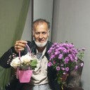  ,   , 52 ,   ,   