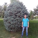  ,   , 50 ,     , c 