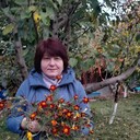 ���������� ��������������, ���� ������� ��������, 54 ����, ������������ ��� c�������� ���������, ���������