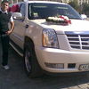 ,   Alex, 36 ,   