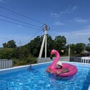 ���������� ������������, ���� ������� ������, 29 ���, ������������ ��� ������, ����� � ���������