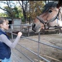  ,   EVA, 41 ,   ,   , c , 